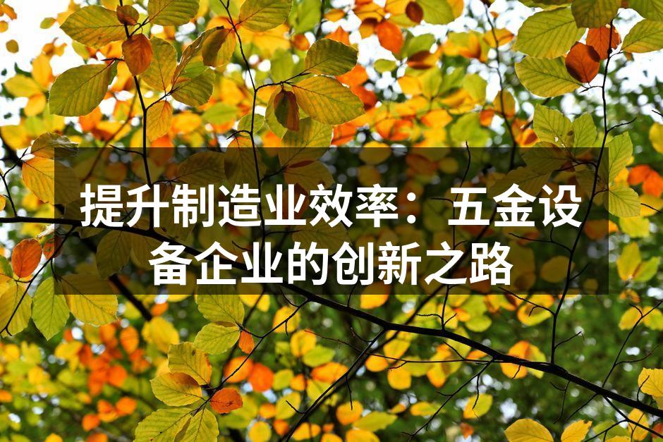 提升制造业效率：五金设备企业的创新之路